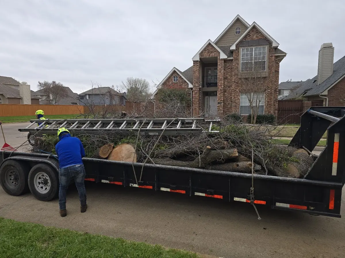 Expert Tree Fertilization with proper safety equipment in Valley